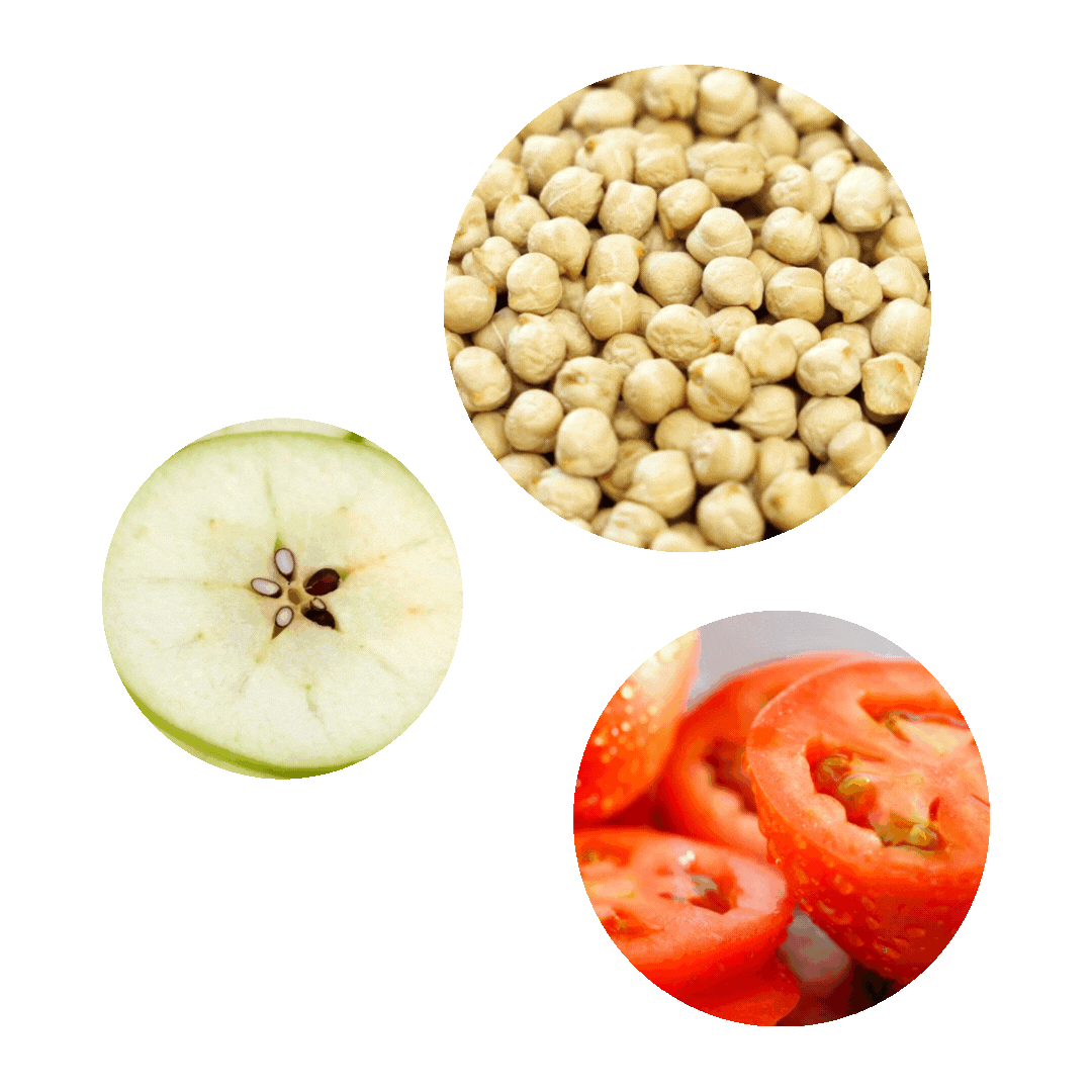 SAB – Web graphics